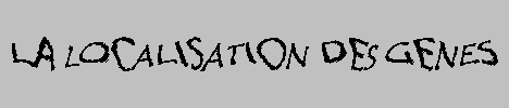la localisation des gnes